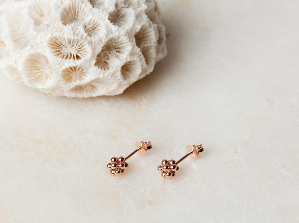 Oorbellen Earstud Ciara 925 sterling zilver en 18K roségoud Laura Design