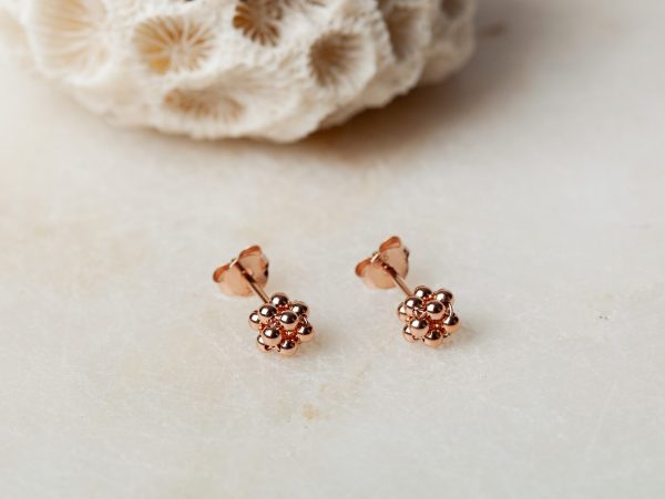 Oorbellen Earstud Ciara 925 sterling zilver en 18K roségoud Laura Design